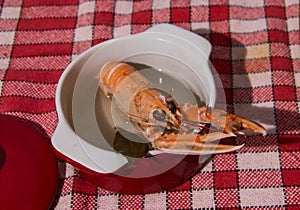 Norway lobster fleeing the hole