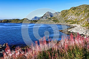 Norway Lofoten Fjord, Mountains Landscape