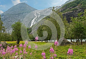 Norway, National park Jostedalsbreen landscape view with waterfall