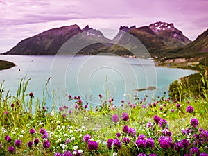 Norway nature scenery