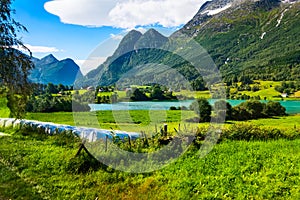 Norway Nordfjord village landscape