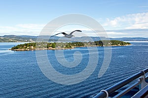 Norway, Oslo, Oslofjord photo