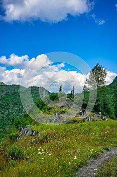 Norway Pass Trail Mount Saint Helens