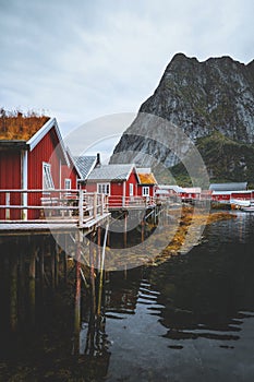 Norway red wooden houses Reine village in Lofoten islands