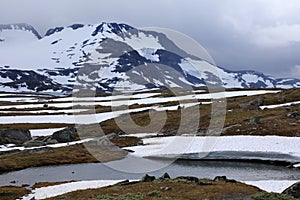 Norway snow in summer - Sognefjell photo