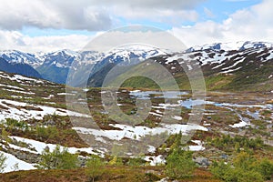 Norway Trolltunga trail