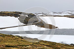 Norway tundra summer