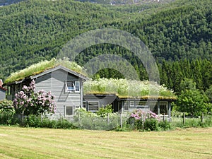 Norway typical farm house photo