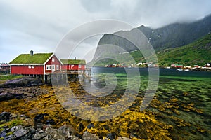 Norway village Reine near the scenic mountains and green water