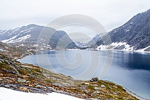 Norwegian fjord landscape in summer