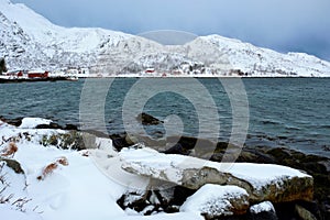 Norwegian fjord with red rorbu houses in Norway in winter