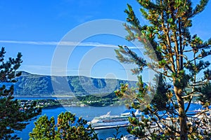 Norwegian fjords - cruise ship sea view, Alesund, Norway