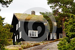 Norwegian houses, Norway