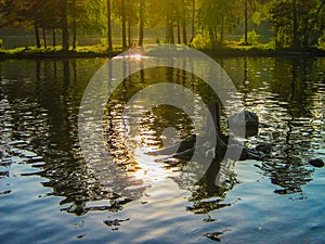 Beautiful sunset on a lake photo