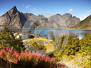 Norwegian Landscape, Fjords, Norway