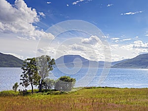 Norwegian landscape in summer