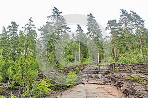 Norwegian landscape with trees firs mountains and rocks. Norway Nature