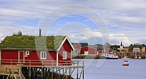 Norwegian red fishing huts rorbu with green grass of Lofoten Islands