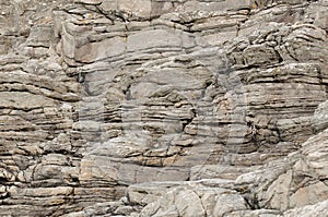 Norwegian stone shore line