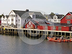 Norwegian style house in lofoten island