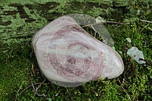 Norwegian Thulite/Muscovite sitting on green moss. Close up.