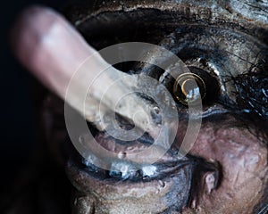 Norwegian troll close-up