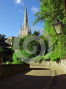 Norwich Cathedral photo