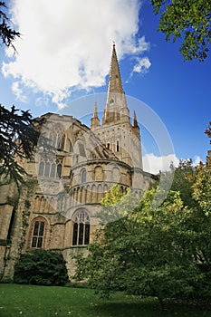 Norwich Cathedral photo