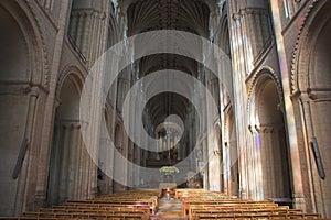 Norwich Cathedral photo