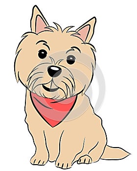 Norwich terrier dog smiling wearing red handkerchief sit colored sketch isolated on white
