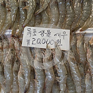 Noryangjin Fisheries Wholesale Market The 24 hour market has over 700 stalls selling fresh and dried seafood.