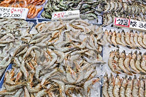 Noryangjin Fisheries Wholesale Market , Expansive wholesale & re