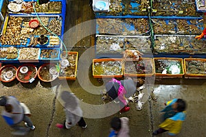 Noryangjin Fisheries Wholesale Market interior