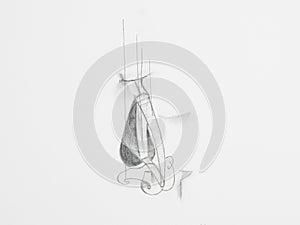 Nose pencil drawing