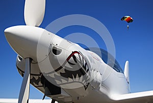 Nose and propeller