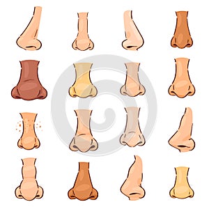 Nose vector human face part nosey breathing smell illustration set of anatomy man or woman breathe nosed organ isolated