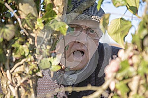 Nosey neighbour peeking through leaves and branches with open mouth