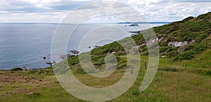 Noss Mayo - Blackstone Point - Warren Cottage - Gara Point - Above Cellar Beach