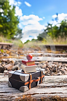 Nostalgic Miniatures Railway Travel Scene