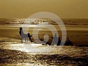 Nostalgic Seashore photo