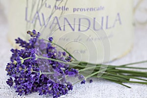 Purple Fragrant Lavender Blossom Still Life