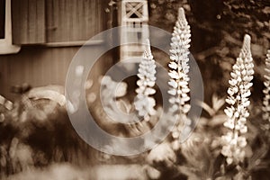 Nostalgic vintage photo of the country house from the childhood