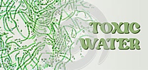 Nostoc sp. algae under microscopic view, cyanobacteriai Toxic water