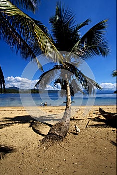 nosy be rock stone branch boat palm lagoon