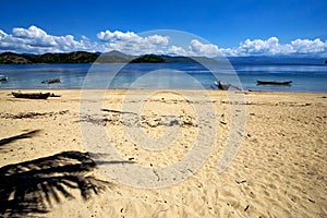 nosy be rock stone branch boat palm lagoon madagascar