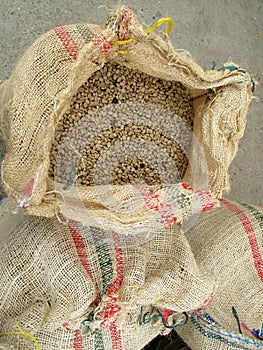 Not roasted coffee beans in jute sack top view, Colombia