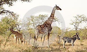 Not on speaking terms