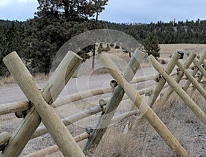 Notched posts on buckfence.