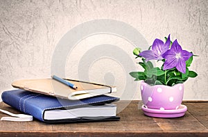 the note book and purple balloon flower or Platycodon grandiflorus flower in cute pot on wooden table and grunge concrete wall