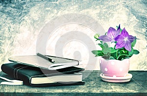 the note book and purple balloon flower or Platycodon grandiflorus flower in cute pot on wooden table and grunge concrete wall